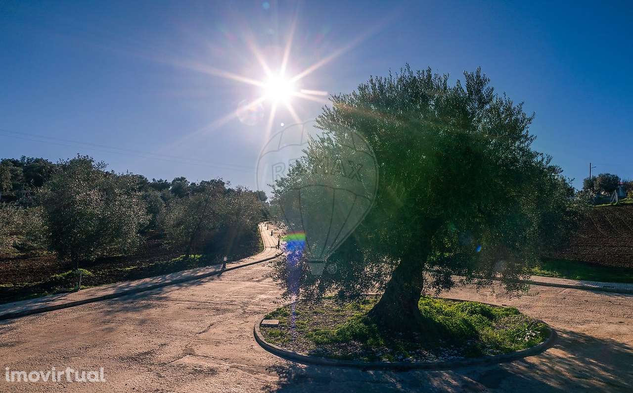 Quinta T10 para venda - Grande imagem: 3/50