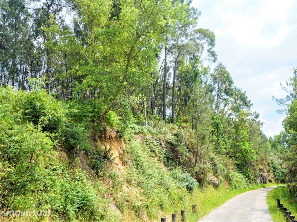 Terreno em zona de construção para venda, com vistas para o rio Min... - Grande imagem: 4/4