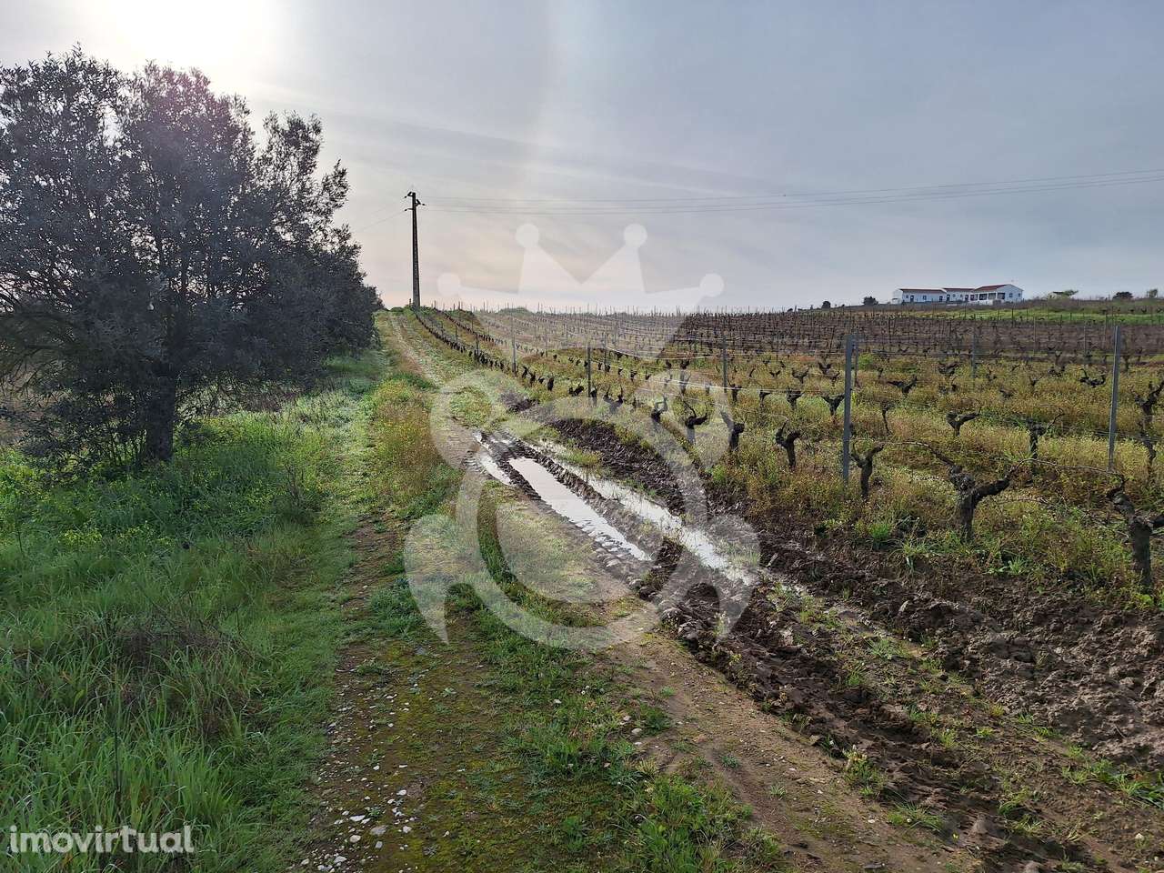 Terreno no Perímetro rega c/ possibilidade construção - Grande imagem: 3/13