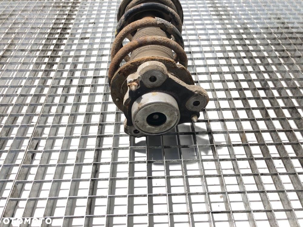 AMORTYZATO SPRĘŻYNA LEWY PRZÓD  PEUGEOT BOXER Autobus (244, Z_) 2001 - 2022 2.2 HDi 74 kW [101 - 3