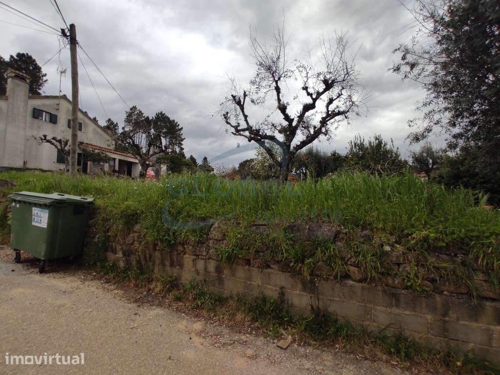 Terreno com 360 m² em Rosmaninhal - ideal para moradia de sonho em ... - Grande imagem: 2/4