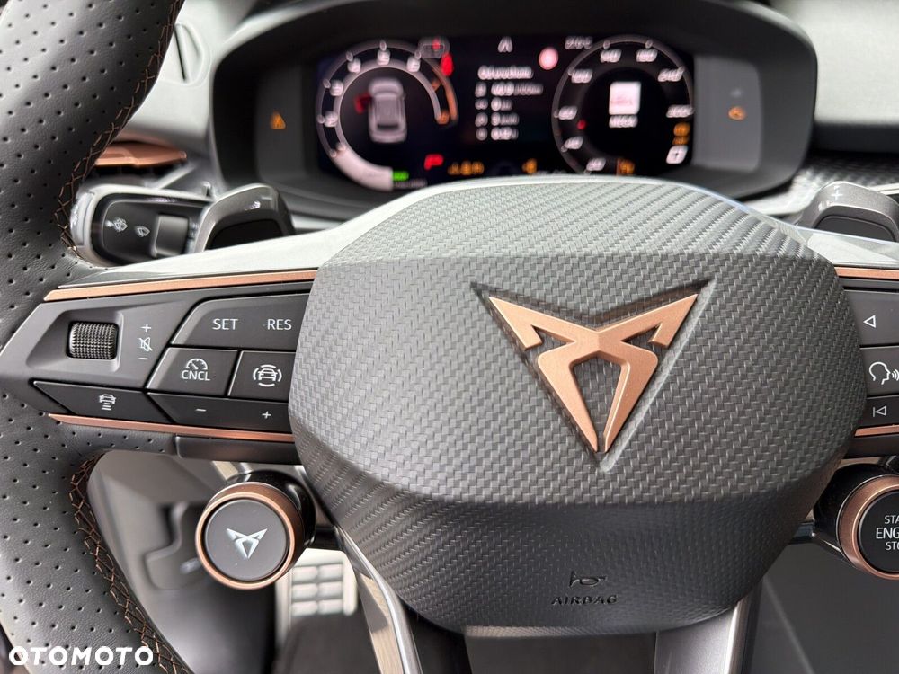 Cupra Terramar - 17