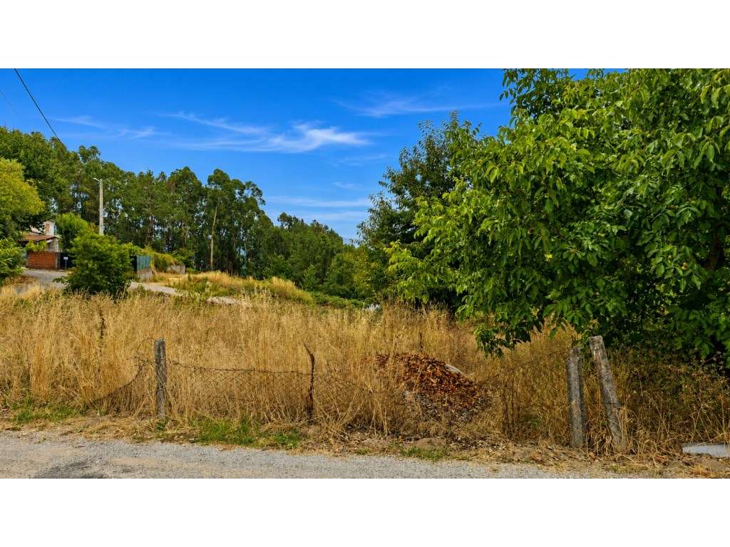 Terreno para Construção com 770 m² - Excelente Oportunidade de Inve... - Grande imagem: 5/5