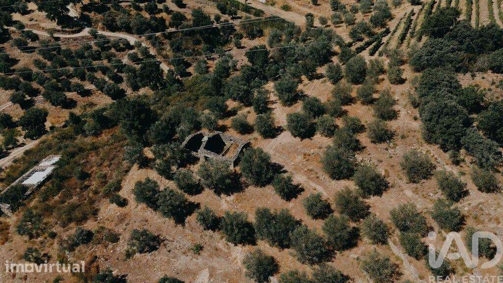 Quinta em Vila Seca e Santo Adrião - Grande imagem: 4/34