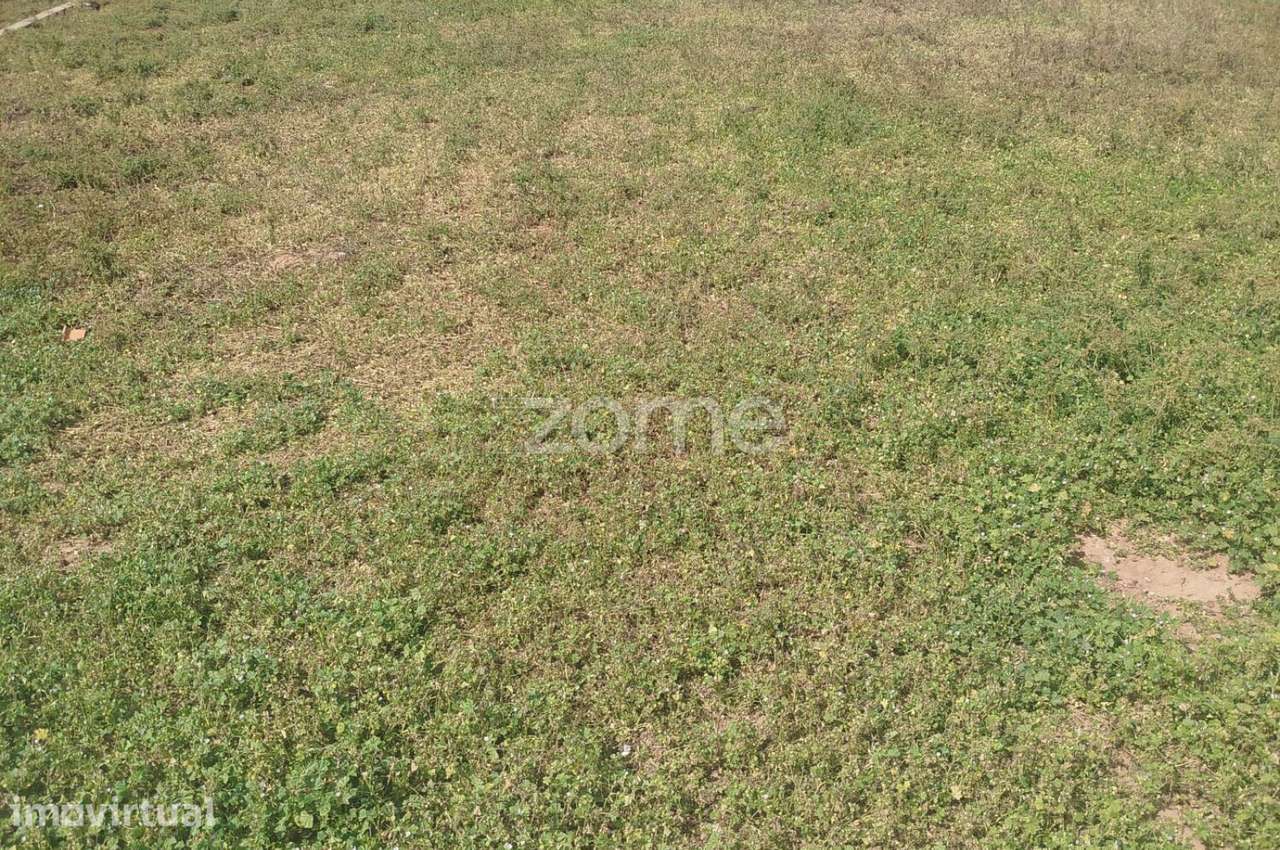 Terreno Urbano Almoinha - Grande imagem: 5/9