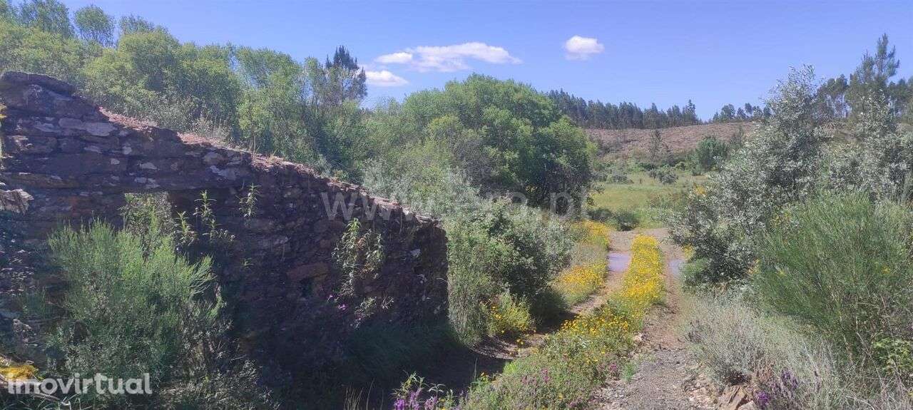 Quinta / Castelo Branco, São Vicente da Beira - Grande imagem: 2/11