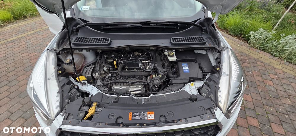 Ford Kuga 1.5 EcoBoost FWD Trend ASS MMT6 - 20