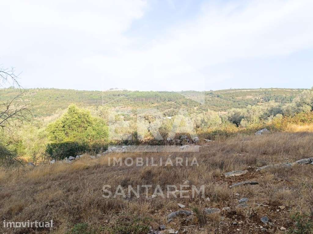 Moradia em Pedra com Vista Panorâmica - Grande imagem: 5/18