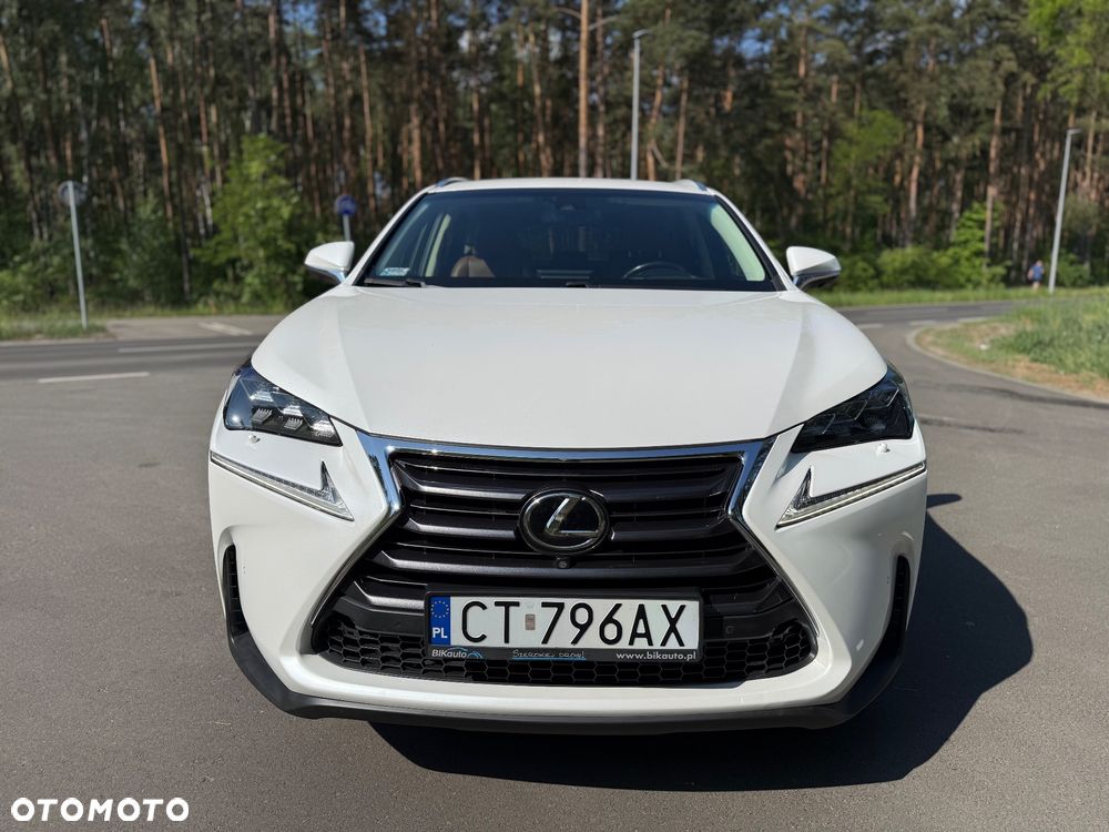 Lexus NX 200t Prestige AWD - 16