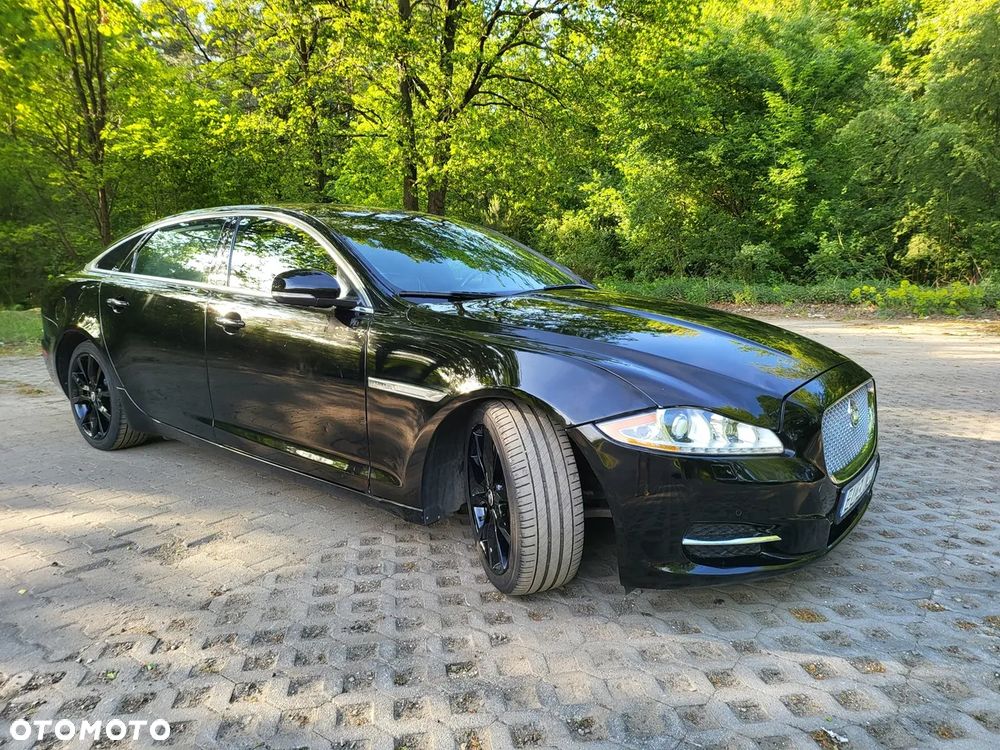 Jaguar XJ - 8