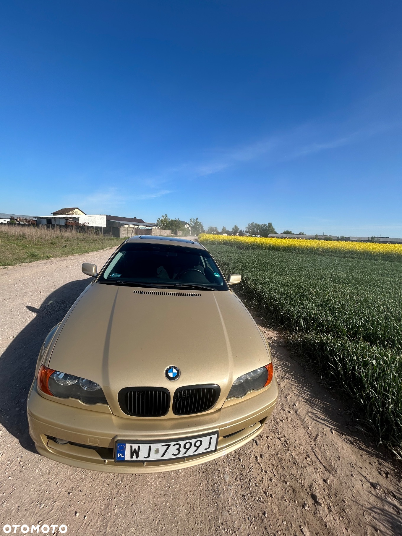 BMW Seria 3 318Ci - 14