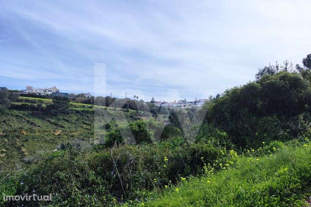 Terreno Carvoeira - Grande imagem: 5/18