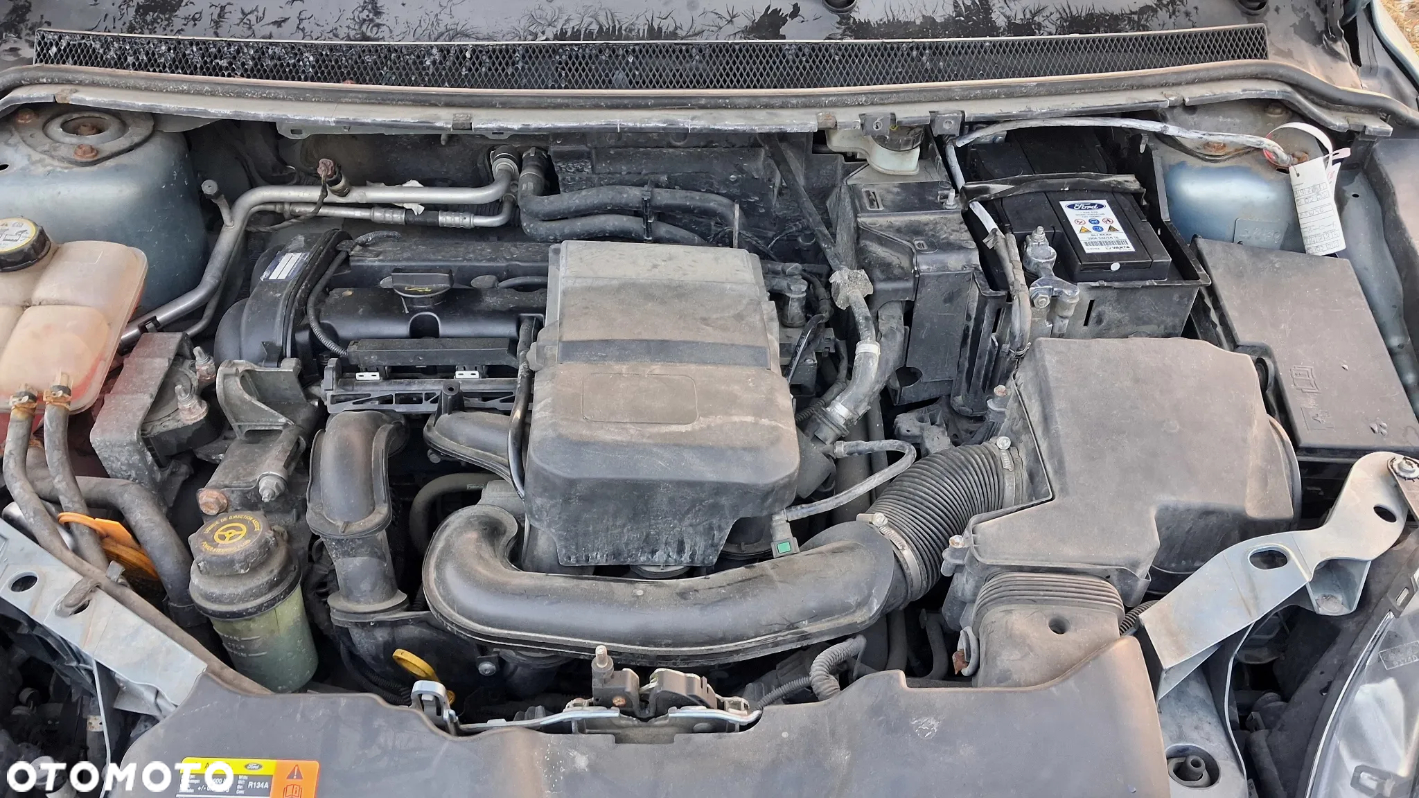 Ford Focus 1.6 Ghia - 8