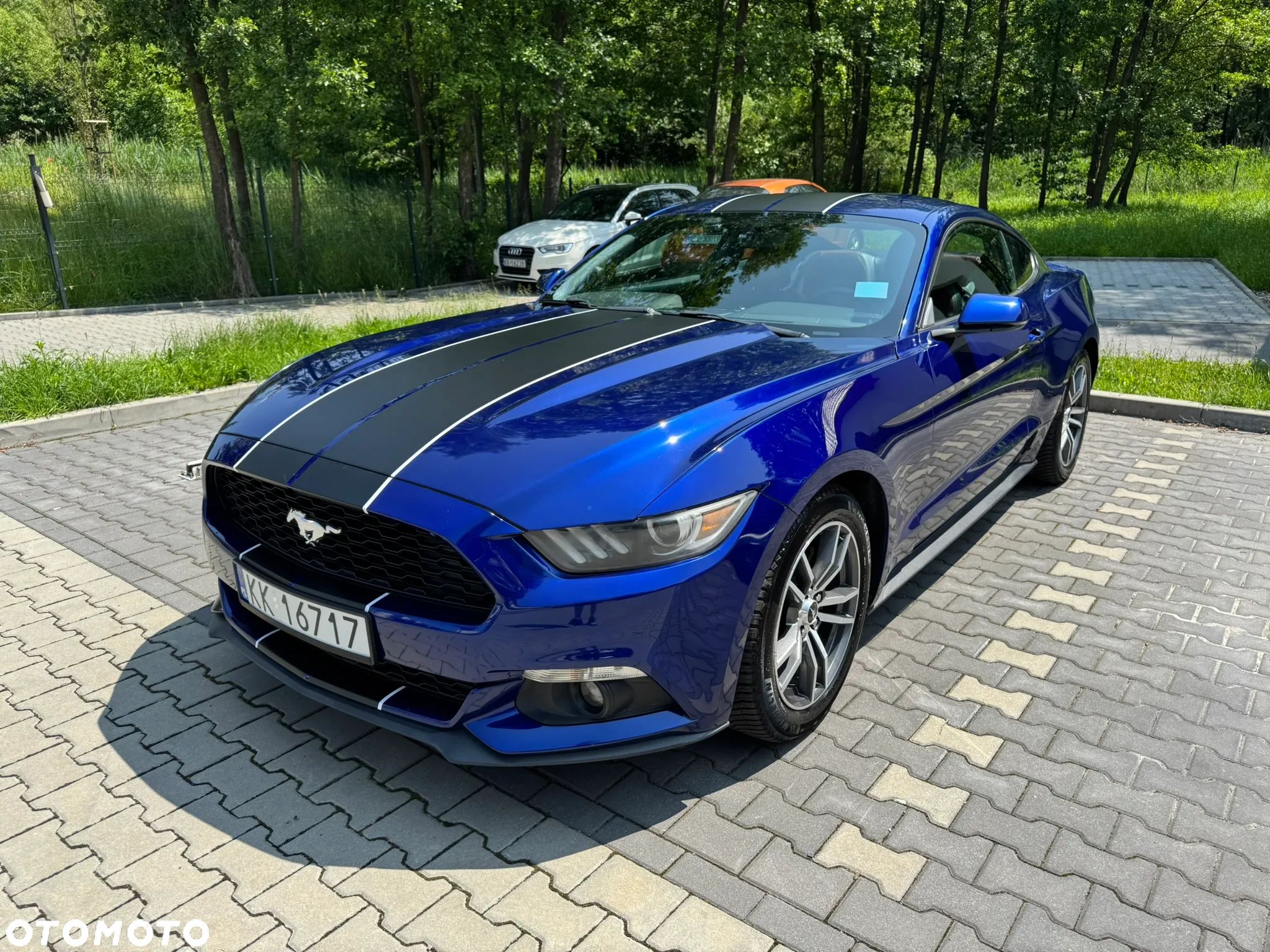 Ford Mustang 2.3 EcoBoost - 1