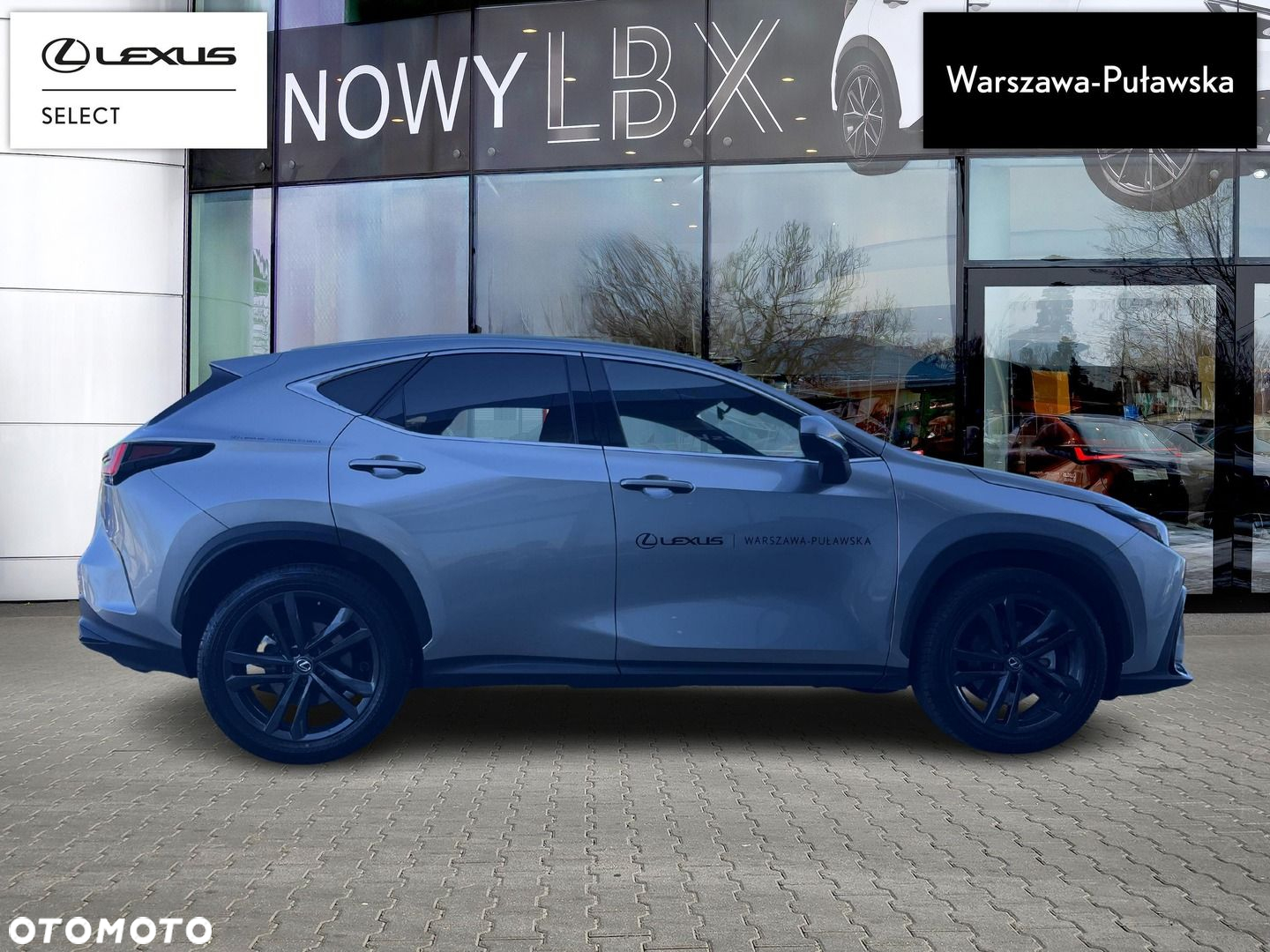 Lexus NX - 8