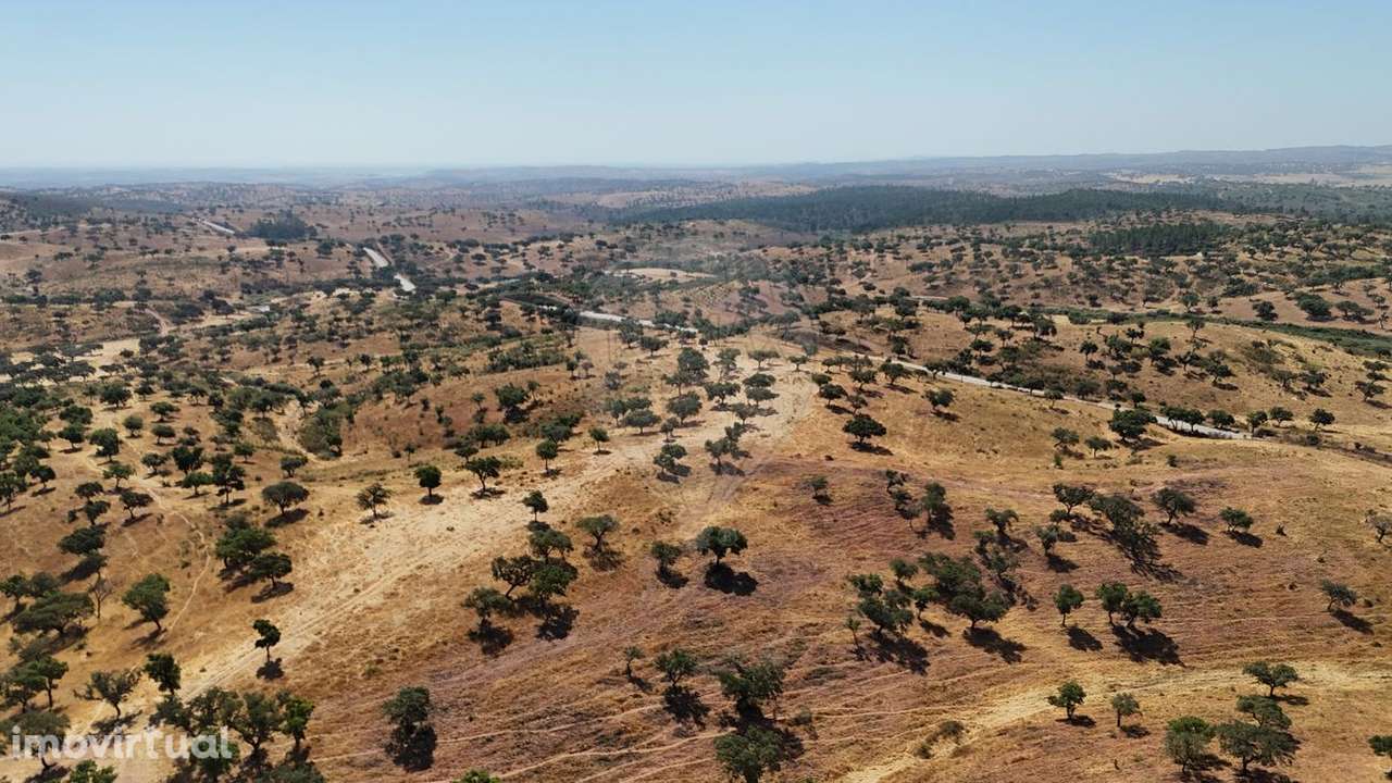 Quinta T4 para venda - Grande imagem: 3/9