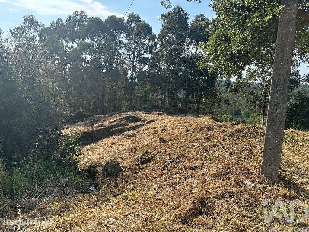 Terreno para construção em Vila de Punhe - Grande imagem: 3/37