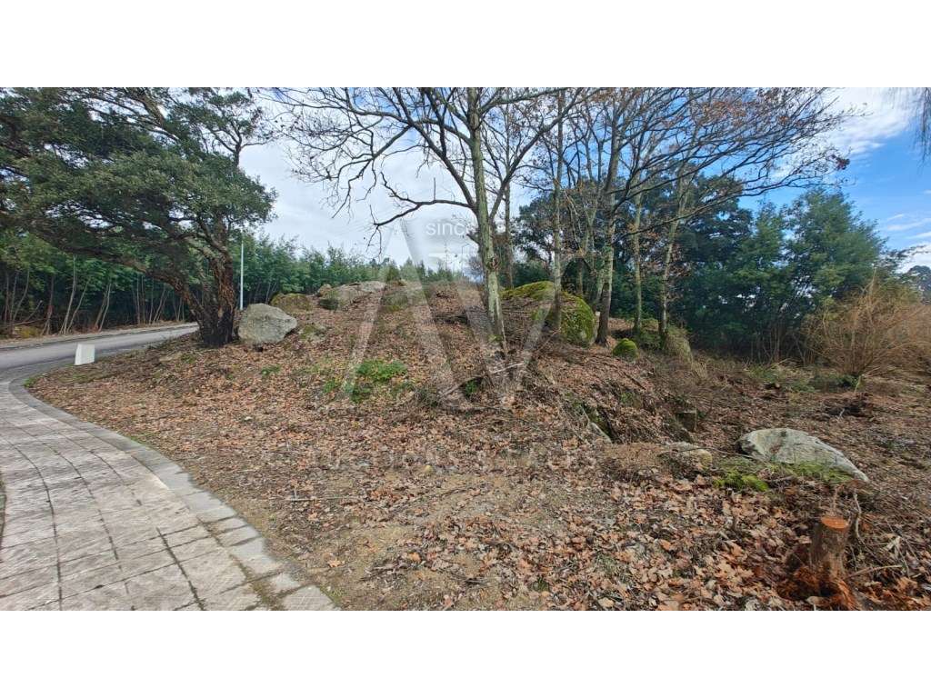 Terreno para construção - SANTA COMBA DÃO | LEILÃO ELETRÓNICO | FIM... - Grande imagem: 4/7