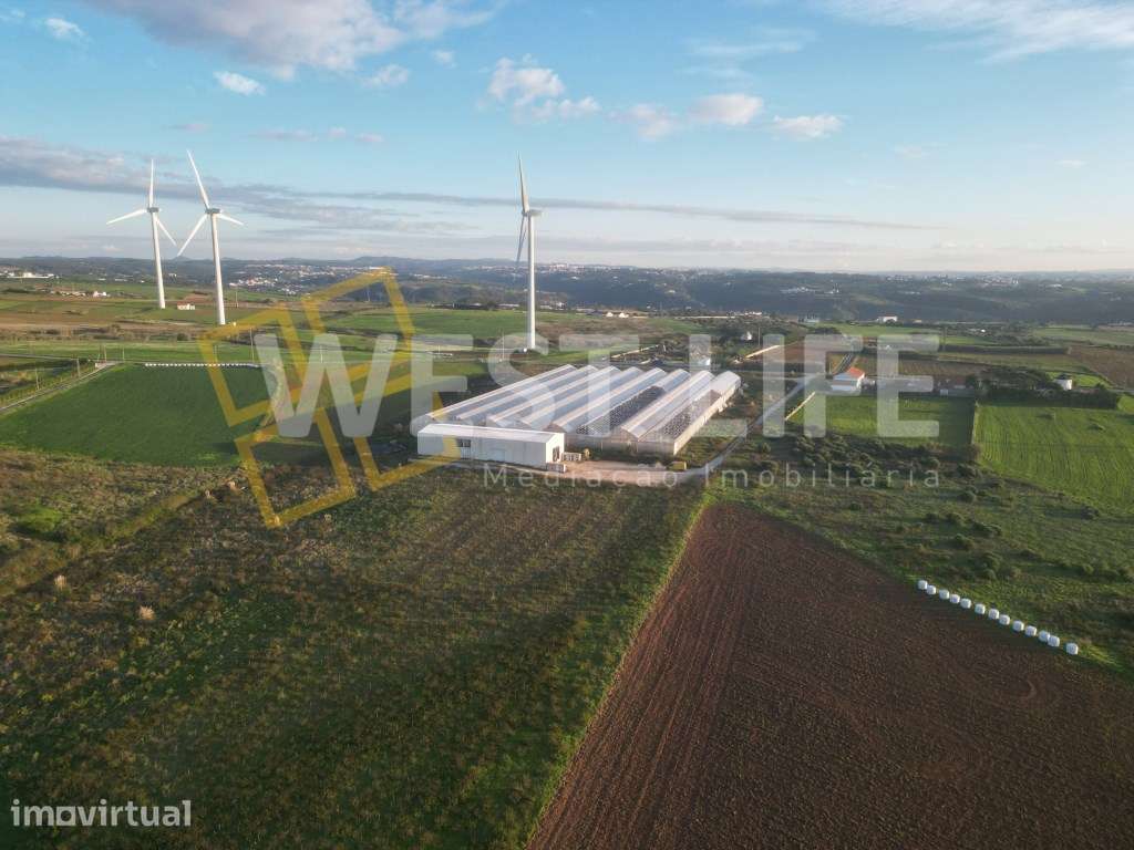 Terreno Rústico Urbanizável com 40750m2 - Oportunidade para constru... - Grande imagem: 5/11