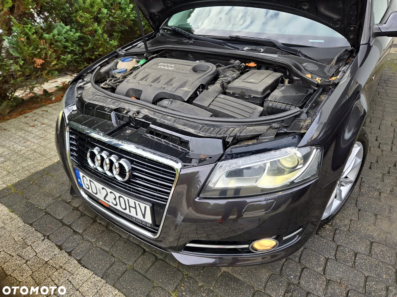 Audi A3 2.0 TDI S Line Sportpaket plus - 9