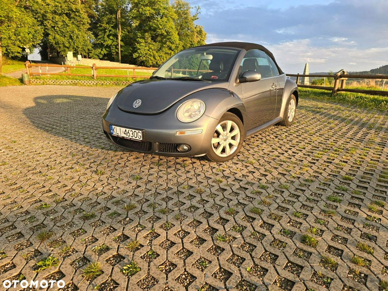 Volkswagen New Beetle - 19