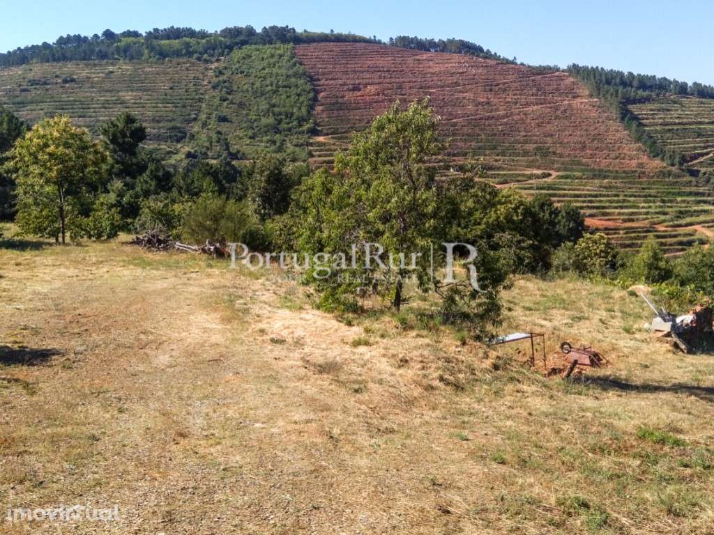 Terreno de 11.100 m² em Alcongosta, na Serra da Gardunha - Grande imagem: 3/36