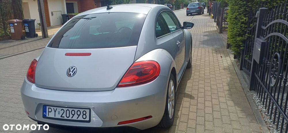 Volkswagen Beetle - 18