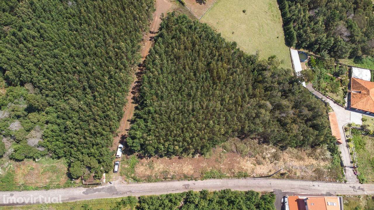 Terreno Rústico com 2650m² na Achada do Moreno, Santa Cruz - Grande imagem: 4/12
