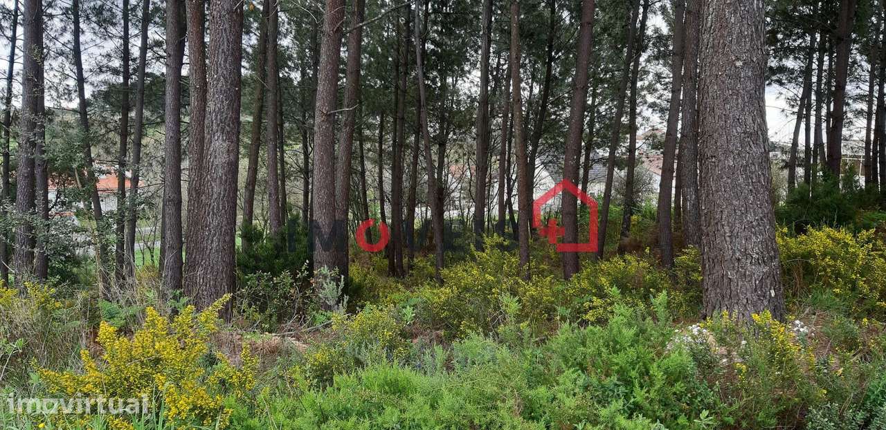Terreno para Construção - Grande imagem: 3/4