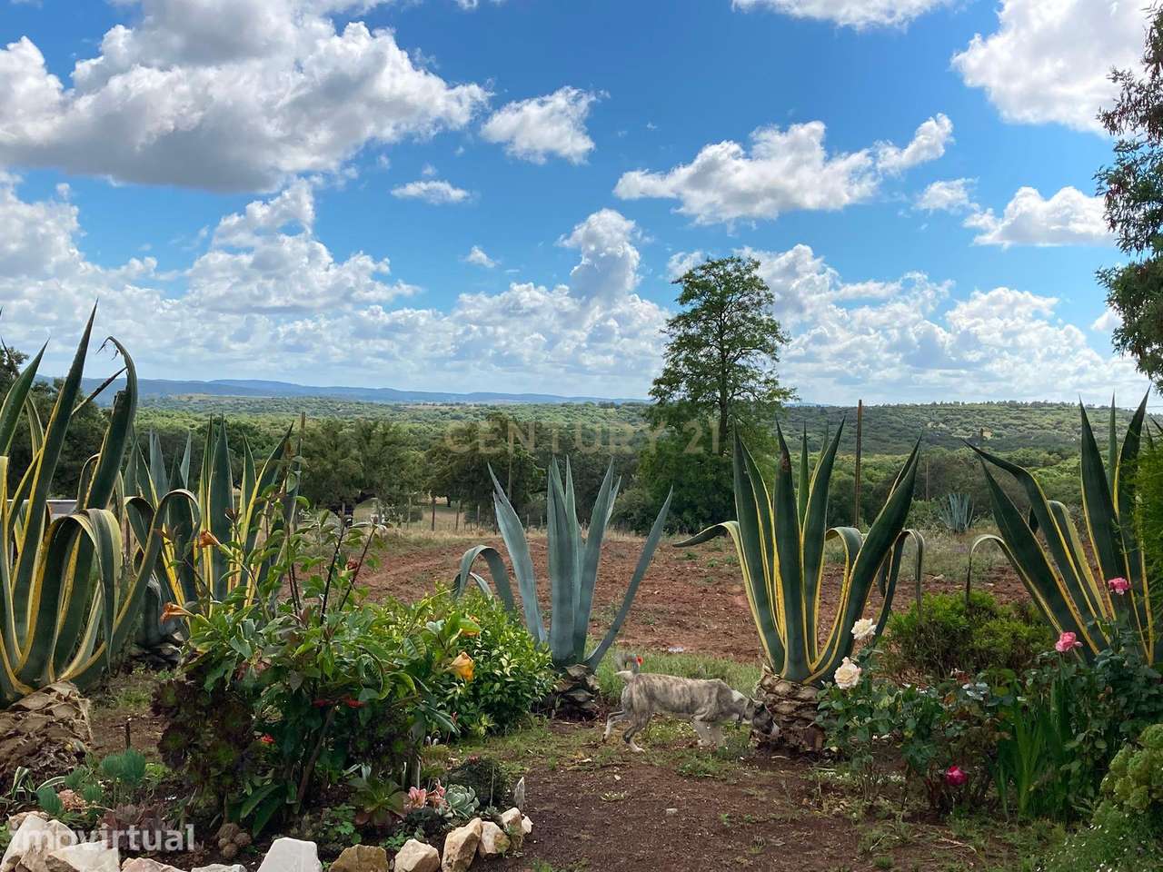 Herdade da Pedra Longa — Um Património Único no Coração do Alentejo - Grande imagem: 2/56