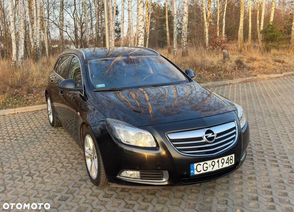 Opel Insignia 2.0 CDTI Cosmo ecoFLEX - 17