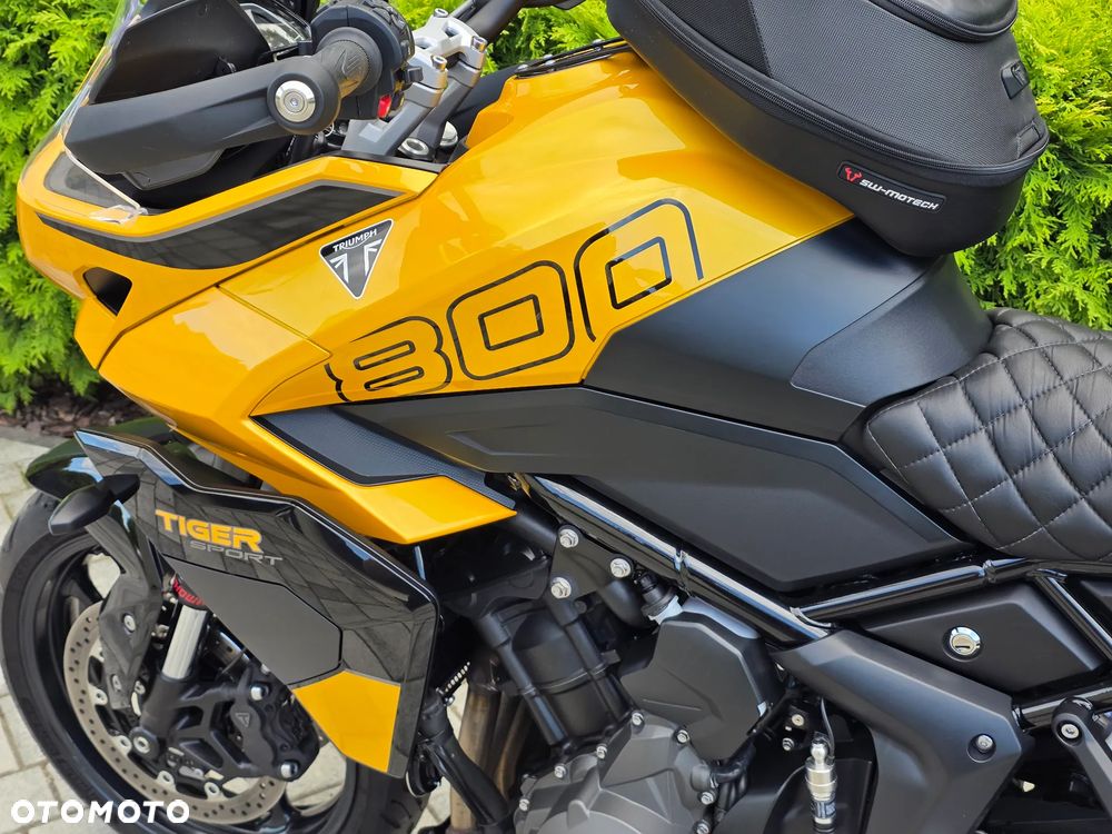 Triumph Tiger - 37