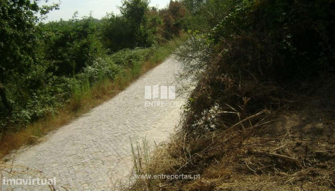 Venda Terreno, Vila Boa Quires, Marco de Canaveses - Grande imagem: 4/9