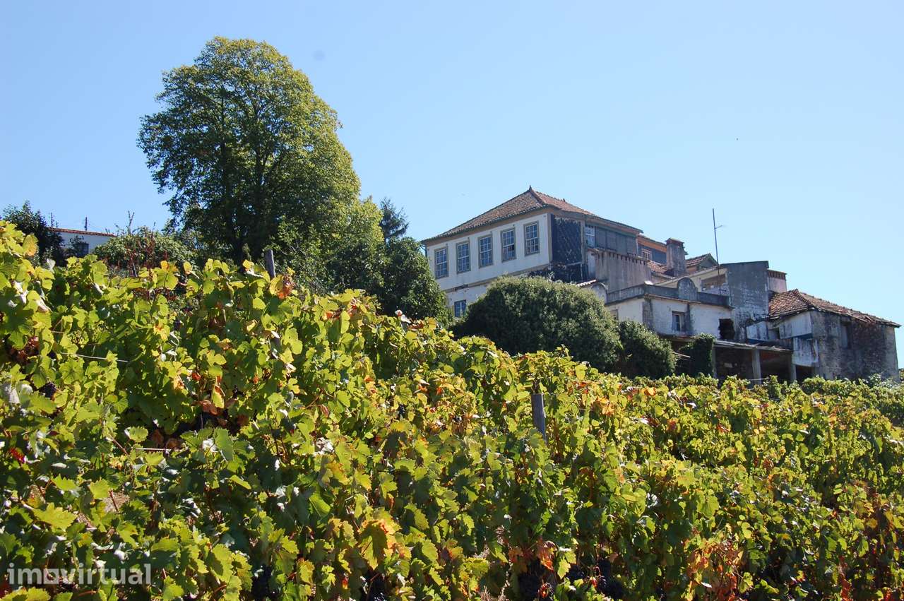 Quinta de Balteiro | Armamar | Douro | Portugal