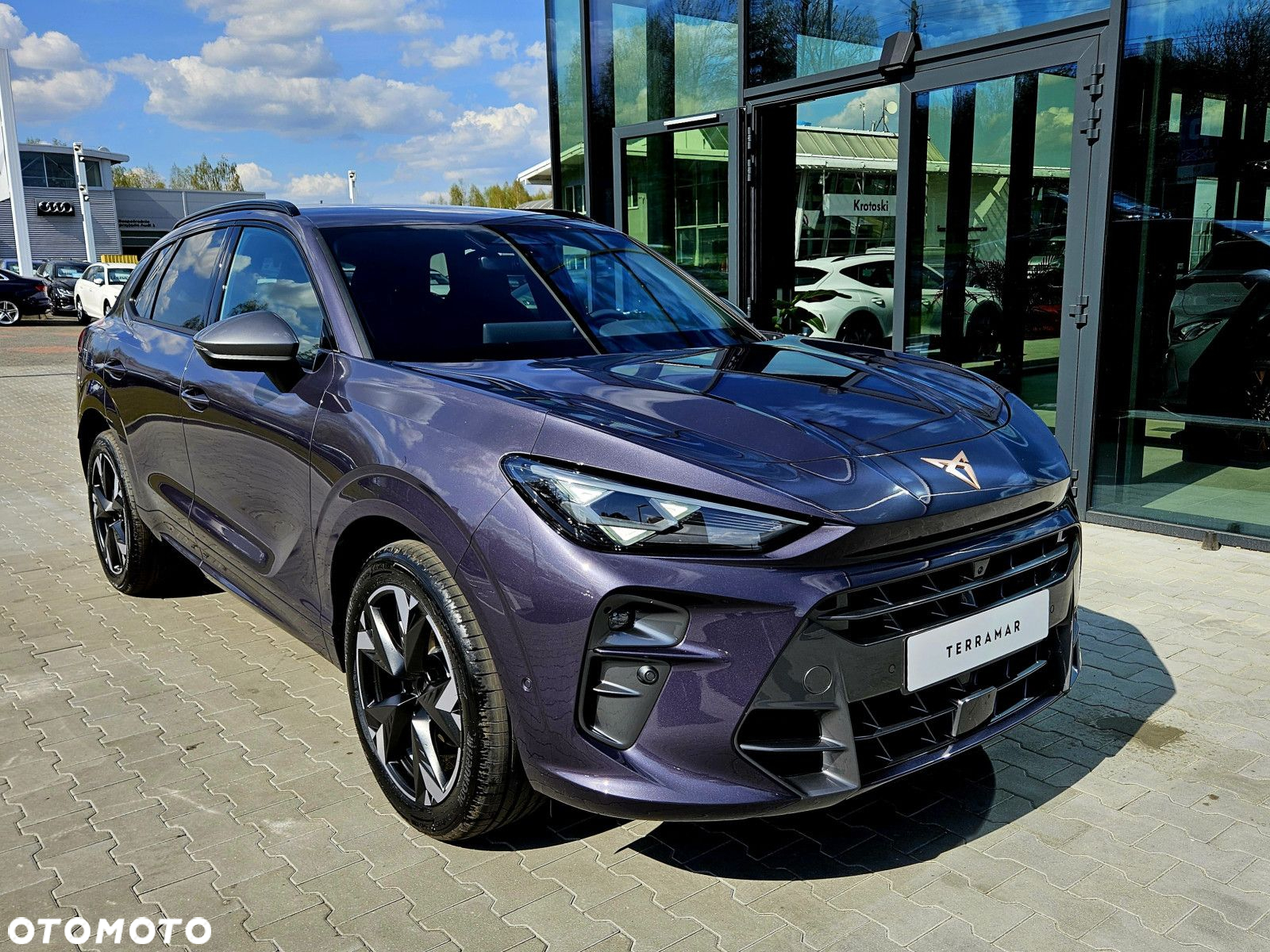 Cupra Terramar - 2