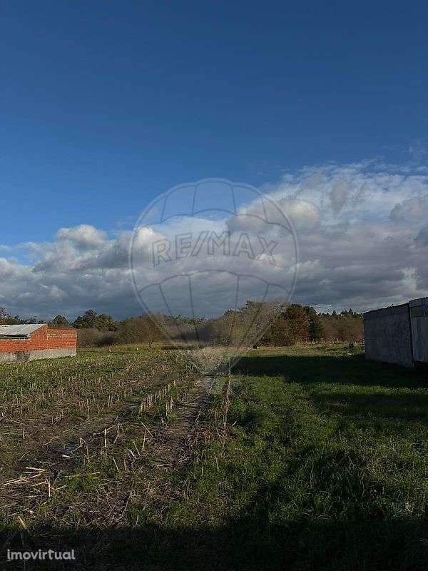 Terreno  para venda - Grande imagem: 3/6