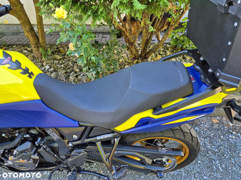 Suzuki DL - 22
