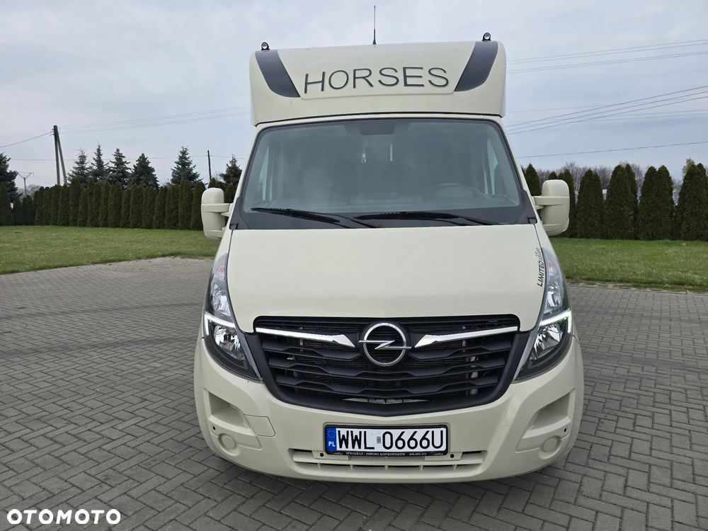 Opel Movano-Koniowóz - 4