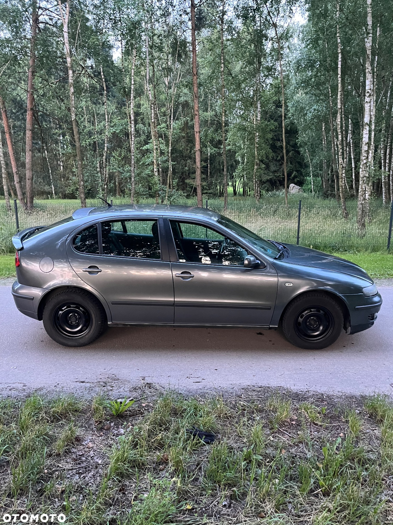 Seat Leon - 15