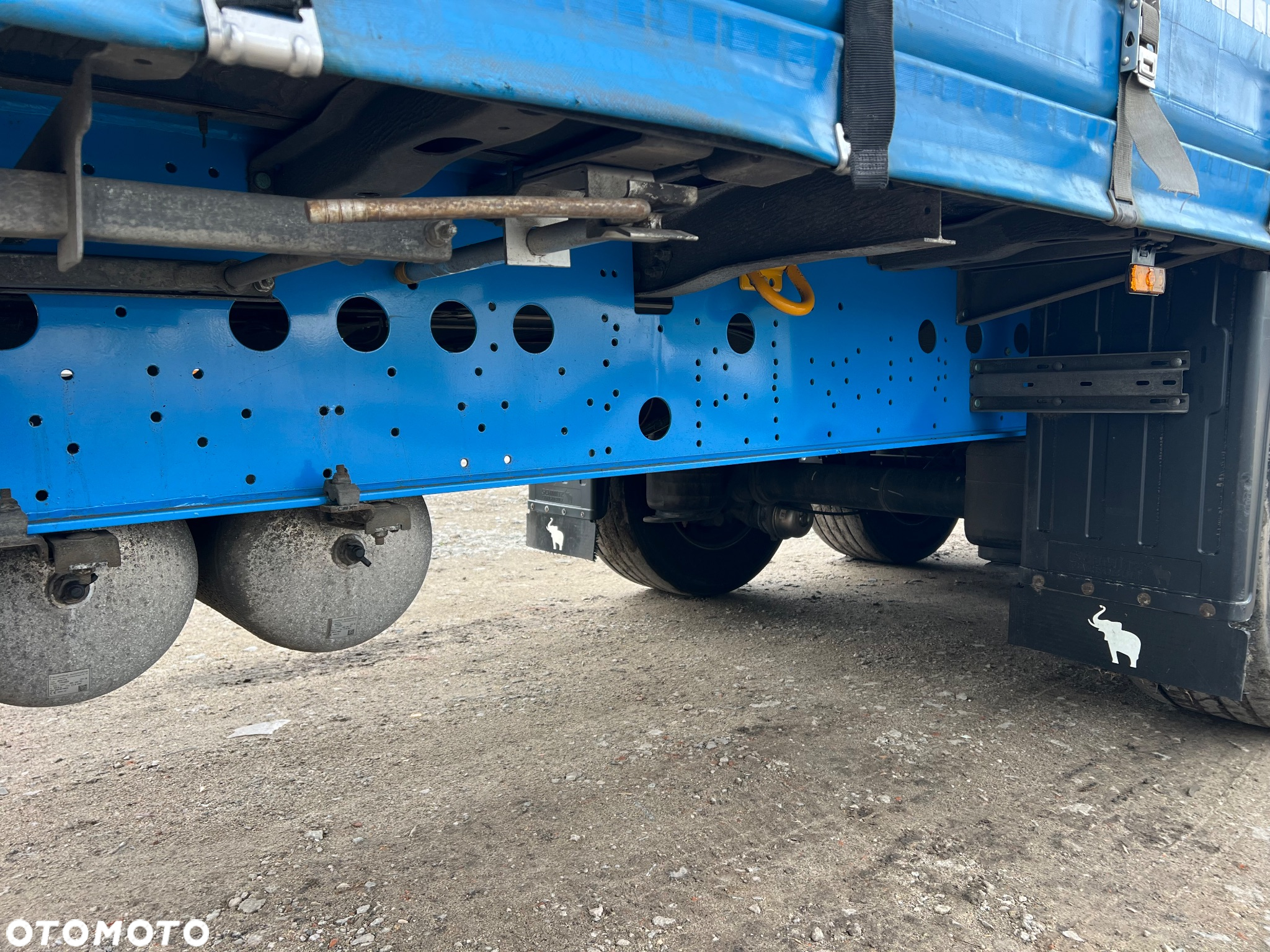 Schmitz Cargobull Mulda - 10
