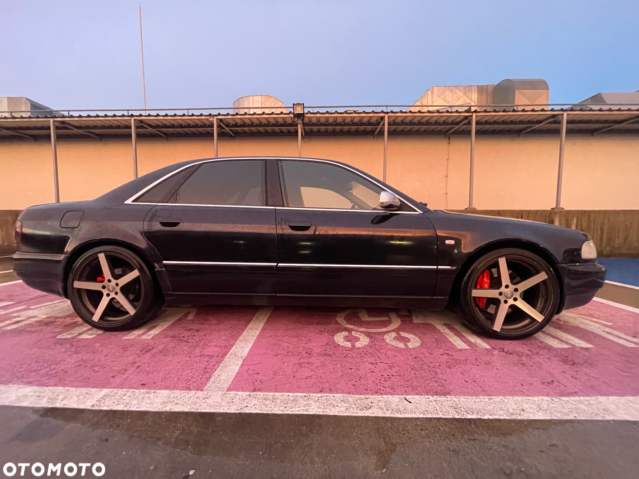 Audi Quattro - 6