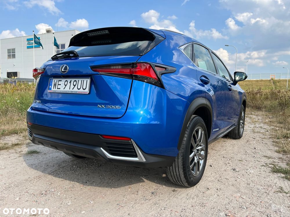 Lexus NX - 6