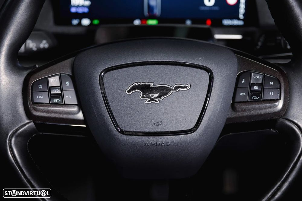 Ford Mustang Mach-E Standard - 16