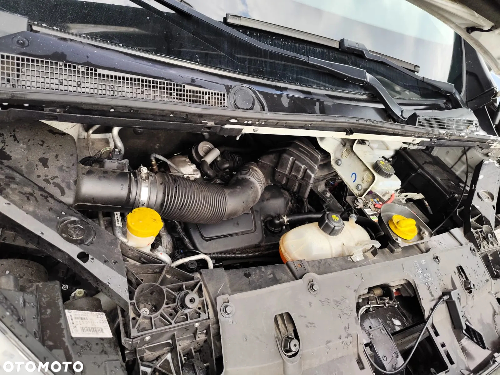 Fiat Talento - 7