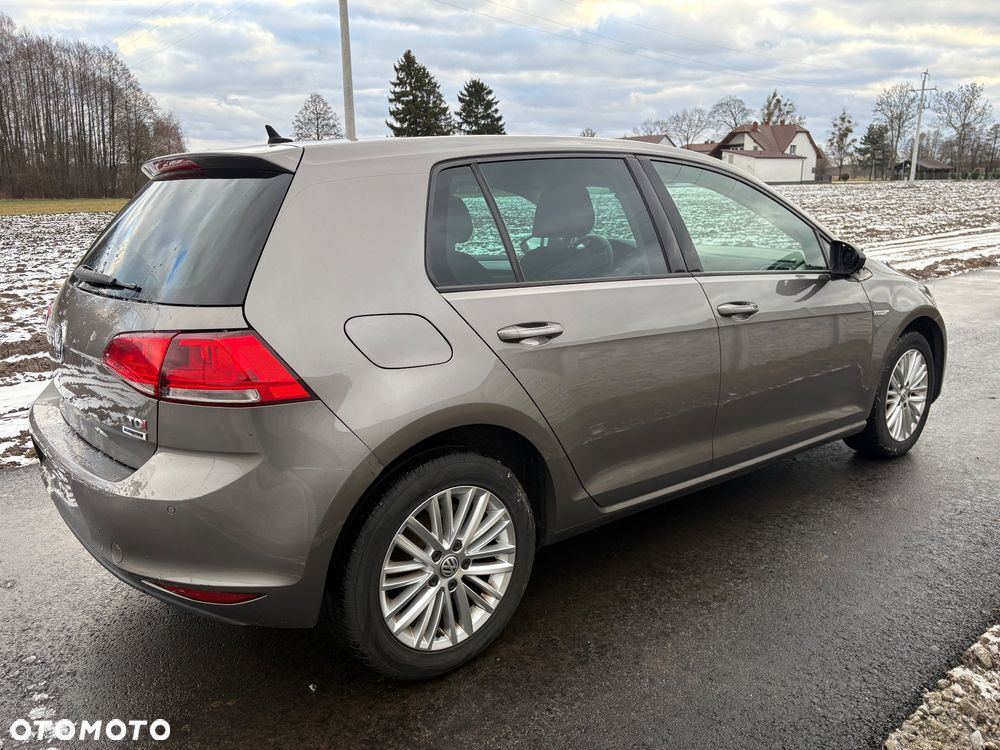 Volkswagen Golf 1.6 TDI BlueMotion Technology Cup - 5