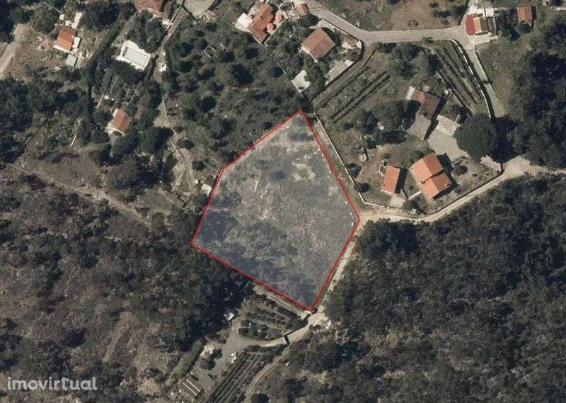 Terreno para construção com 5000m2 com projeto ja aprovado - Grande imagem: 5/11