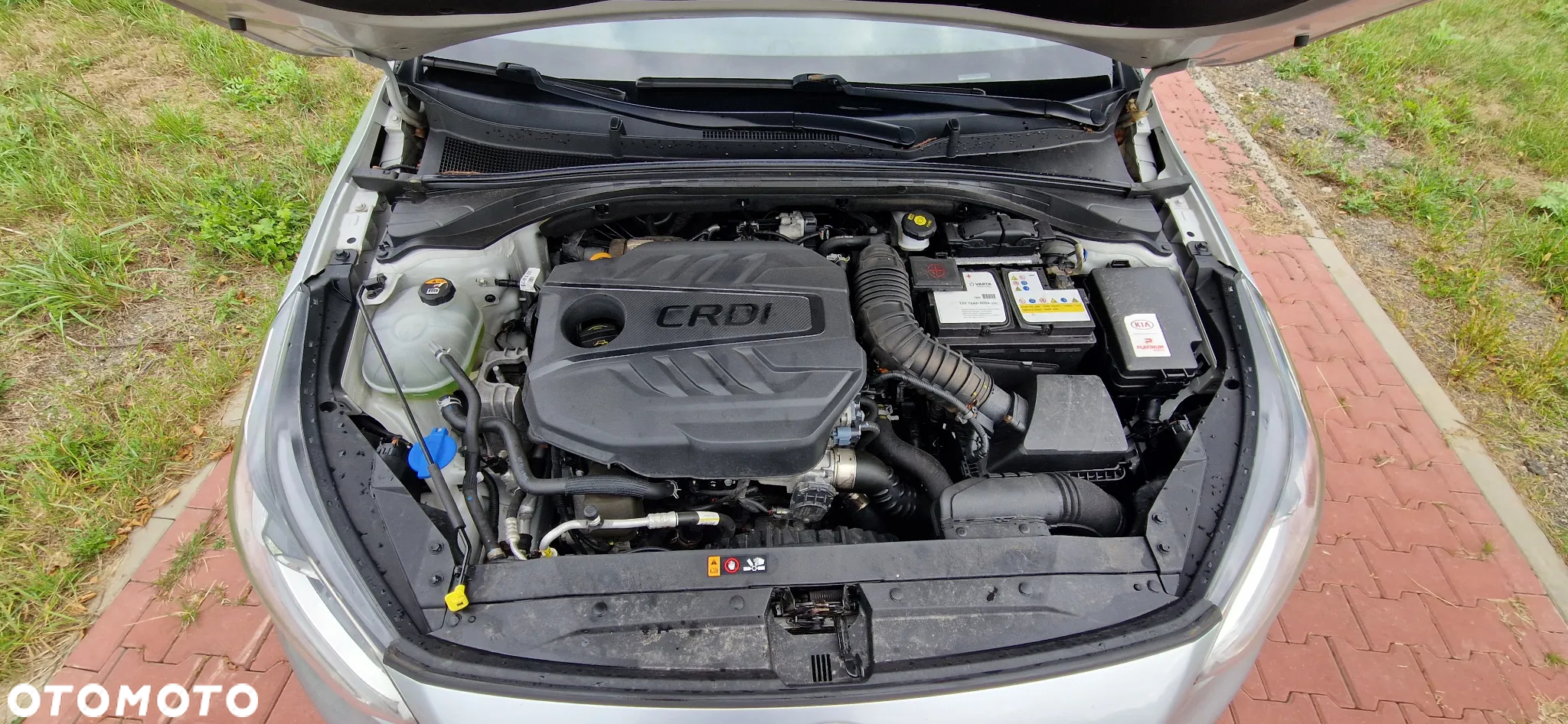 Kia Ceed - 20