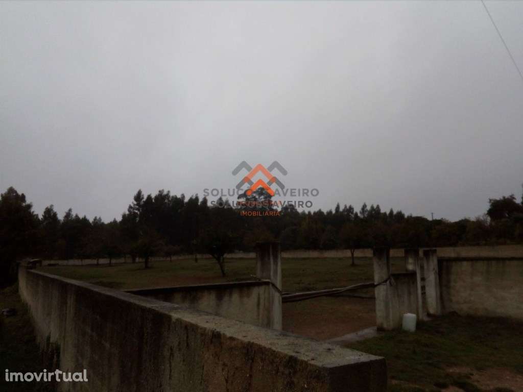 Terreno em Recardães - Grande imagem: 4/7