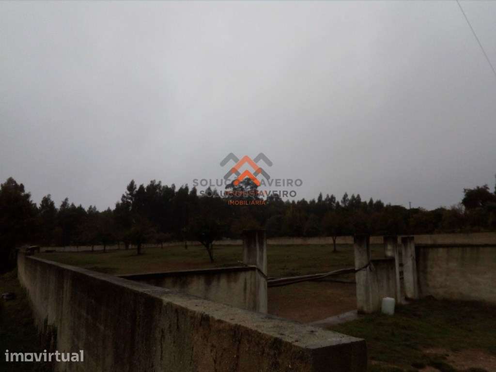 Terreno em Recardães - Grande imagem: 4/7