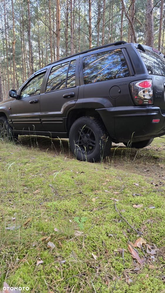 Jeep Grand Cherokee 3.1L TD Limited - 7